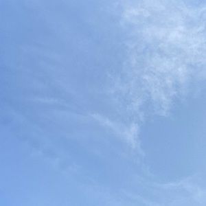 Meet your Posher, Bianca